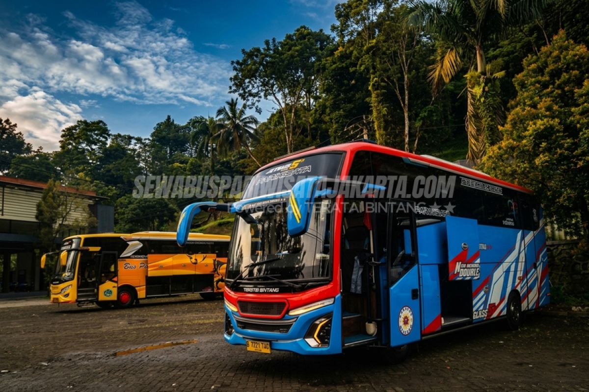 Liburan Estetik ke Bobocabin The Tavia Puncak dengan Sewa Medium Bus