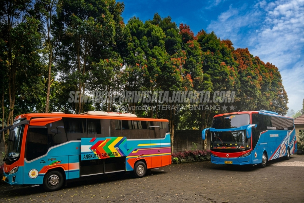 Liburan Seru ke Erema Village Cisarua dengan Sewa Medium Bus Nyaman